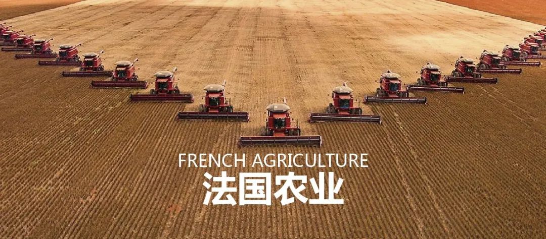 法國農業：歐盟農業大國，靠這6大策略制勝市場